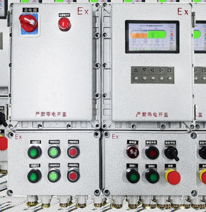 Explosion-Proof Skid-Mounted Level System