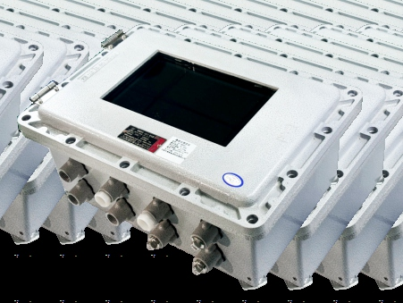 Explosion-Proof Level Gauge - flameproof enclosure